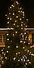 15: 007102-Bonstetter-Weihnachtsbaum-2004.jpg