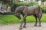 46: 801676-Bronze-Pferd-in-Pilsen.jpg