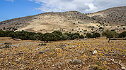9: 909146-landscape-before-Xera-Xila-Crete.jpg