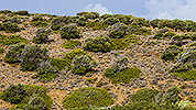 305: 909829-landscape-around-Toplou-Monastery-Crete.jpg