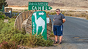 272: 724987-Gerd-the-camel.jpg