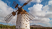280: 725014-windmill-with-kestrel.jpg