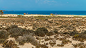 640: 726152-dunes-landscape-Corralejo-Beach-Fuerteventura.jpg