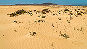 646: 726162-sand-dunes-and-volcanic-mountain-Fuerteventura.jpg