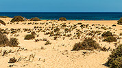 649: 726166-view-to-Corralejo-Beach-Fuerteventura.jpg