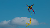 680: 726246-kiteflying-Drachensteigen.jpg