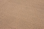 10: 036462-Schritte-im-Sand.jpg