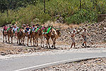 70: 036648-camel-ride-Arteara-Gran-Canaria.jpg