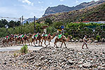 72: 036650-camel-ride-Arteara-Gran-Canaria.jpg