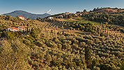 917: 713613-Val-d-Orcia.jpg