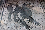 1312: 714268-Pompei-Fussboden-Hund.jpg