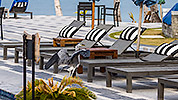 133: 914293-grey-heron-flys-to-sunloungers-after-pool.jpg