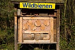 1: 029236-Wildbienenhotel-Tiergarten-Nuernberg.jpg