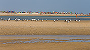 118: 433944-sandbar-with-people-mudflat-with-seagulls.jpg