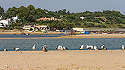 120: 433948-tele-view-along-the-beach-from-mudflat.jpg