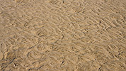 124: 433956-sand-pattern-in-the-mudflat.jpg