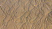 184: 434157-structures-in-mudflat-sand.jpg