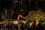 9: 024230-Christmas-lights-Orchard-street-golden-tree.jpg