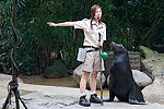 145: 024671-sealion-with-trainer.jpg